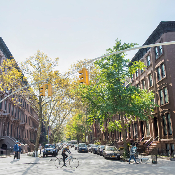 Brooklyn street scene