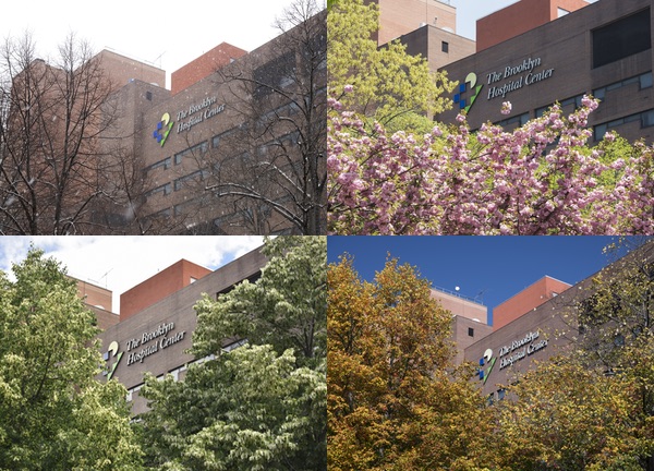 Brooklyn Hospital in Winter, Spring, Summer, Fall