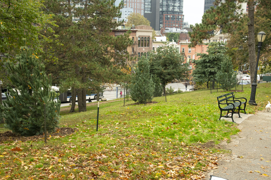 TBHC Places ‘Garden of Heroes’ in Fort Greene Park to Honor Employees